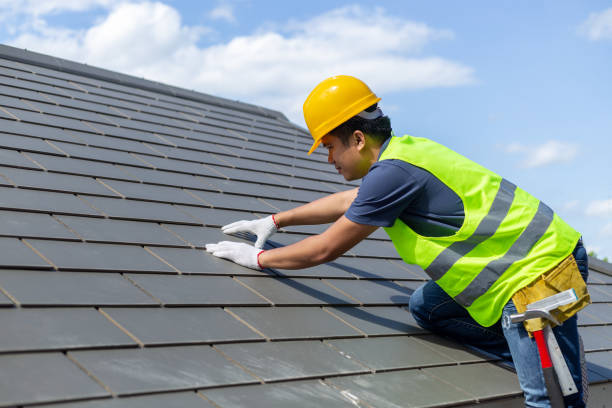 Best Roof Replacement Cost  in Warren, IL