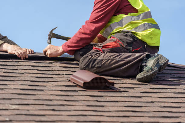 Best Local Roofing Companies  in Warren, IL