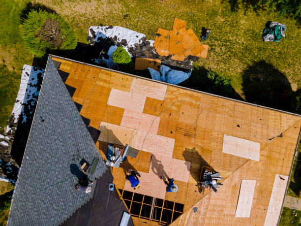 Best Roof Maintenance Services  in Warren, IL