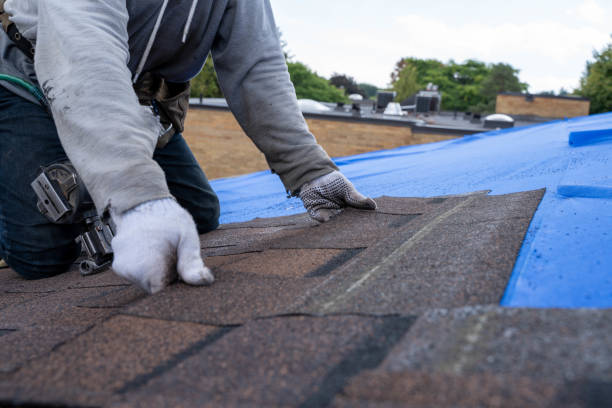 Roof Installation Near Me in Warren, IL