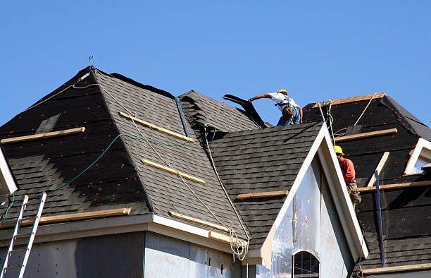 Best Roof Leak Repair  in Warren, IL