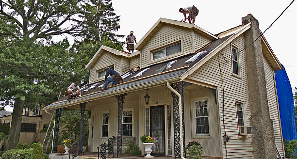 Best Residential Roofing Contractor  in Warren, IL